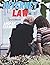 Internet Law by Anupam Chander