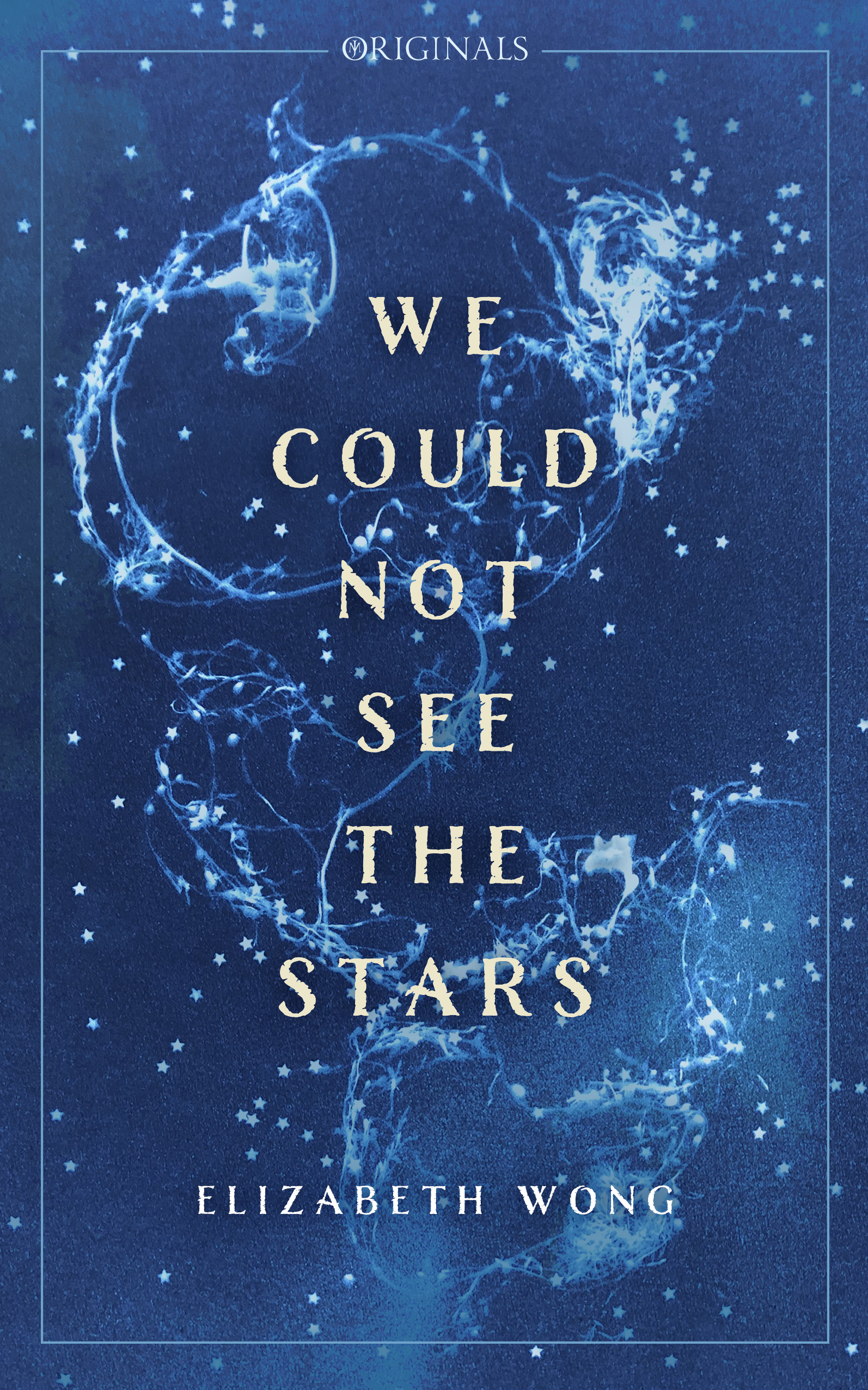 We Could Not See The Stars (Paperback)