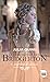 Daphné et le duc (La chronique des Bridgerton, #1)