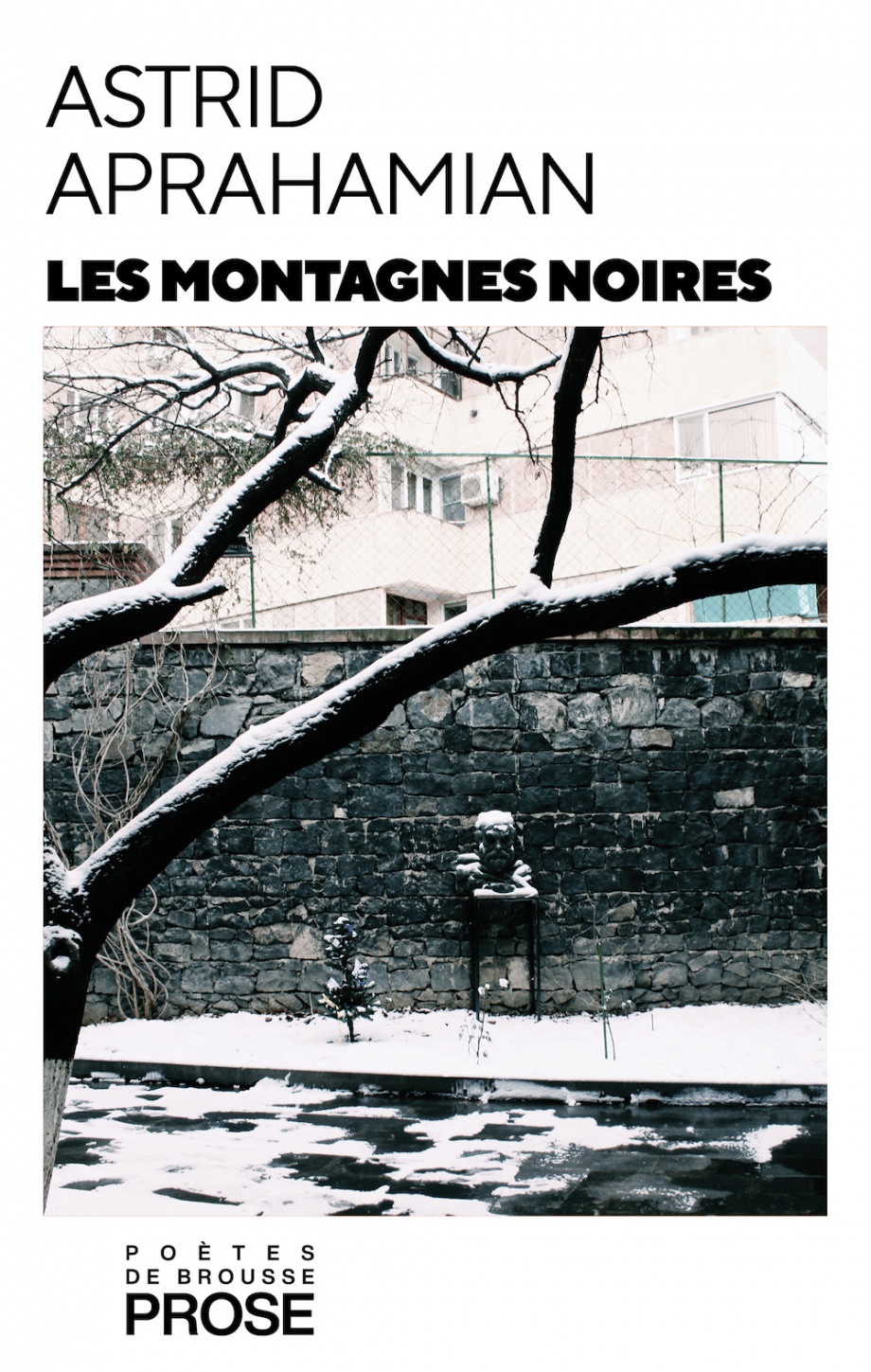 Les montagnes noires (Paperback)