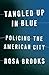 Tangled Up in Blue: Policing the Nation's Capital