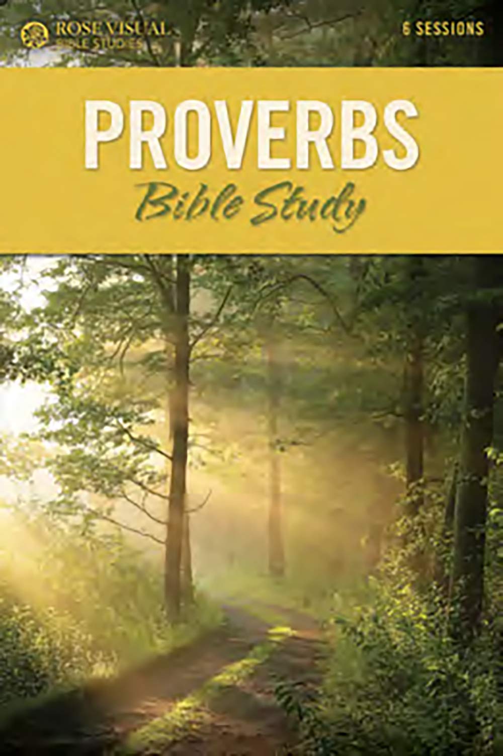 Proverbs Bible Study (Rose Visual Bible Study Series)