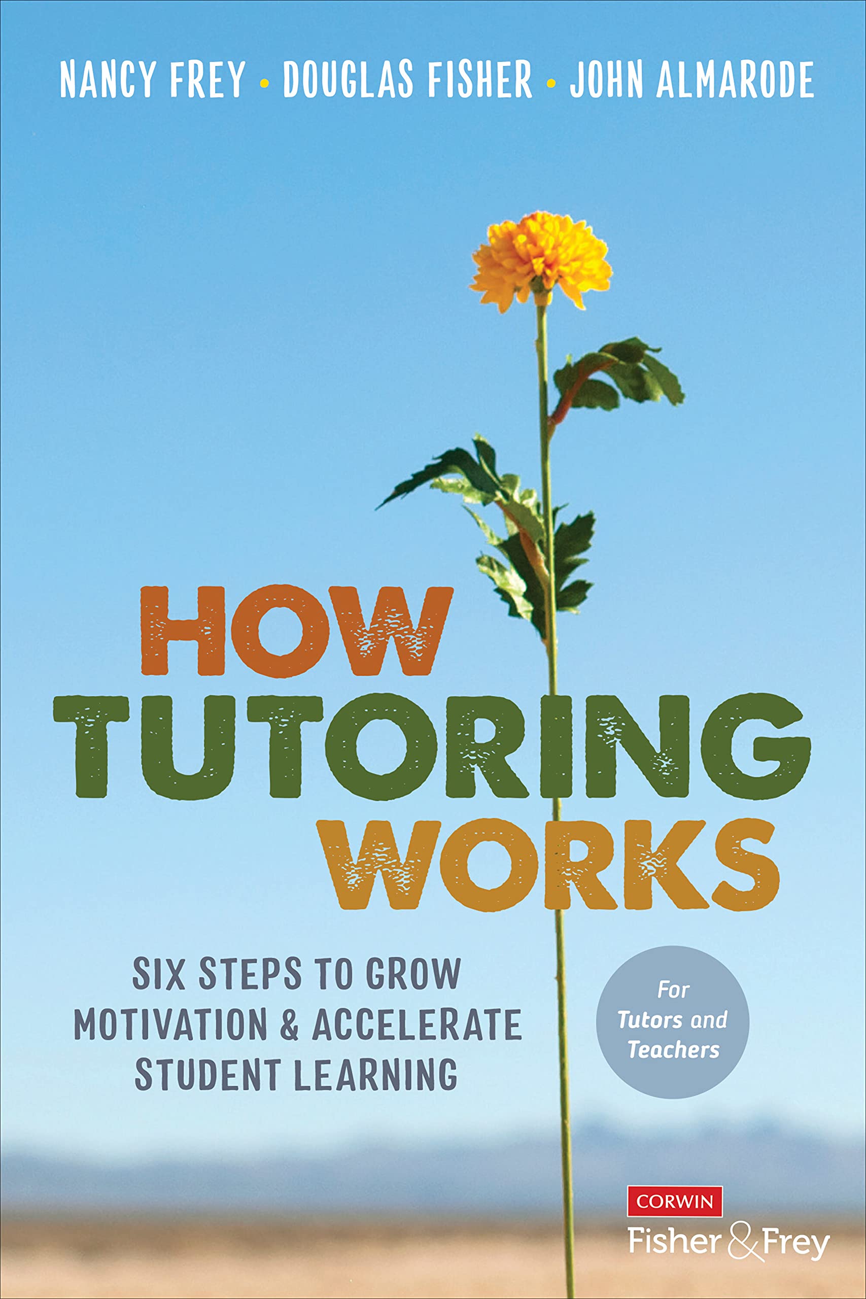 How Tutoring Works: Six Steps to Grow Motivation and Accelerate Student Learning (Kindle Edition)