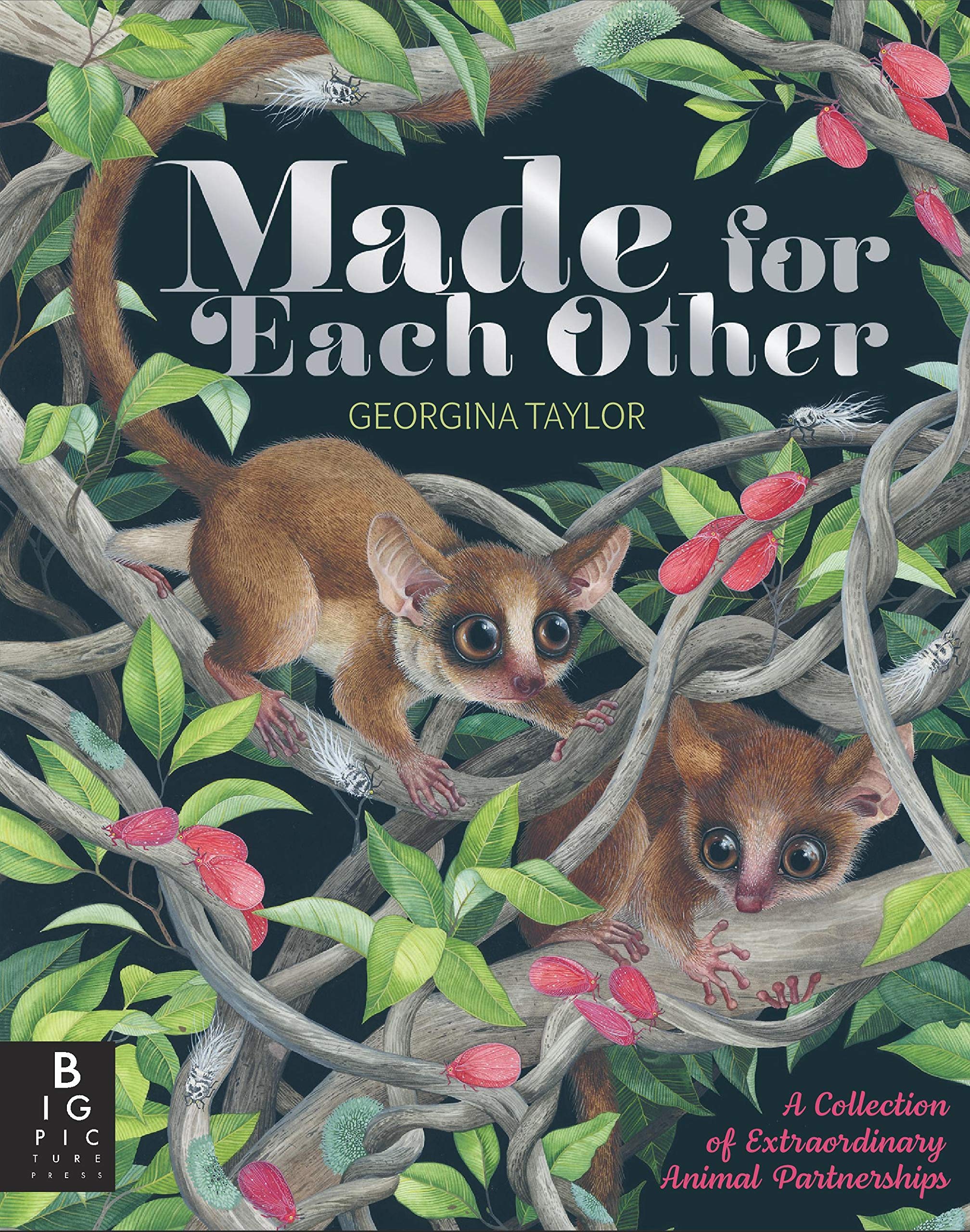 Made for Each Other (Hardcover)