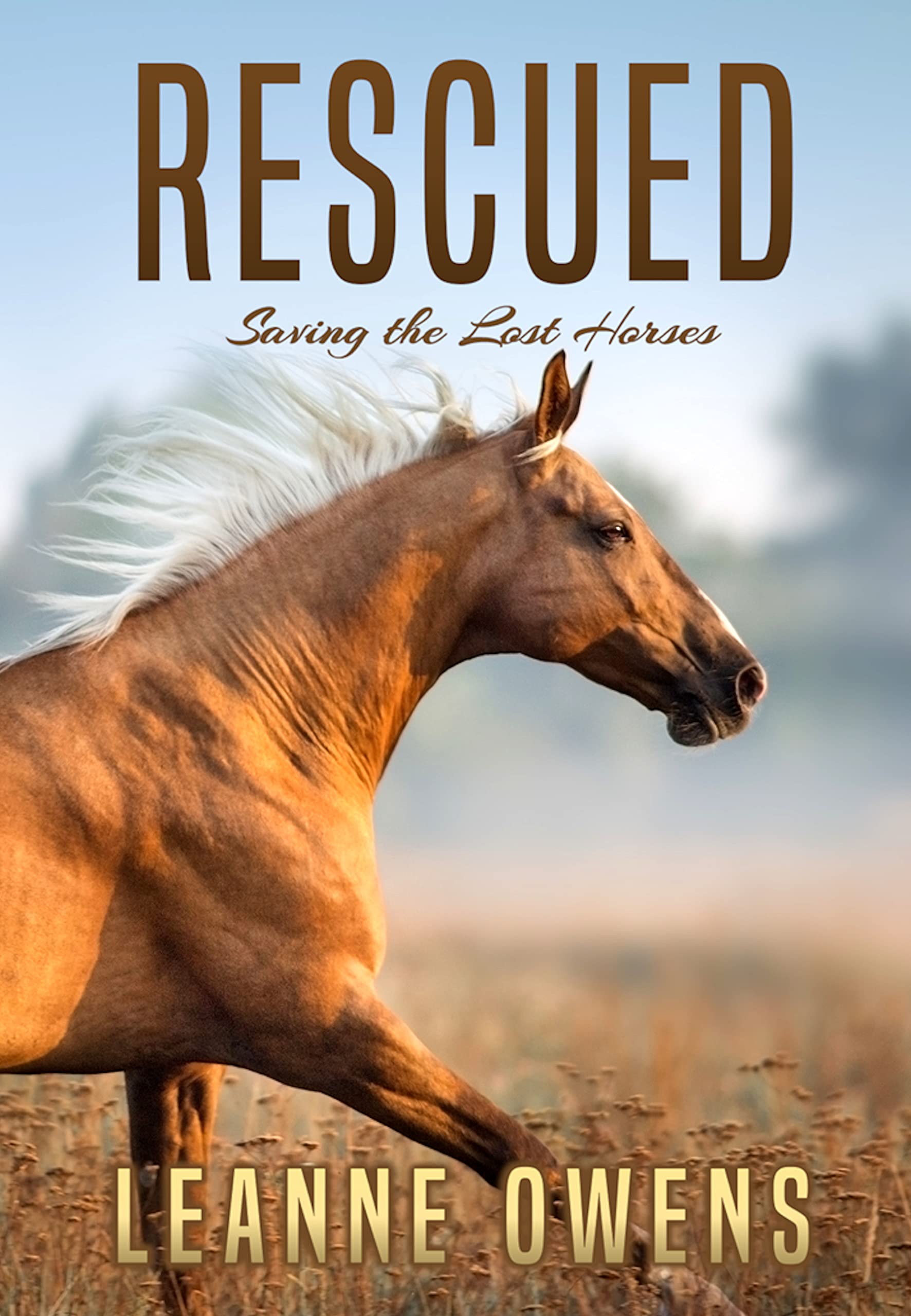 Rescued (The Dimity Horse Mysteries #2)