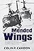 Mended Wings: The Vietnam W...