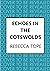 Echoes in the Cotswolds: The engrossing cozy crime series (Cotswold Mysteries Book 19)