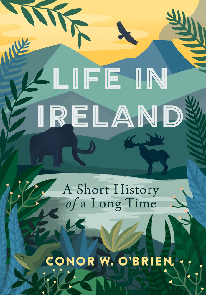 Life in Ireland: A Short History of a Long Time (Paperback)