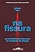 Na fissura by Johann Hari