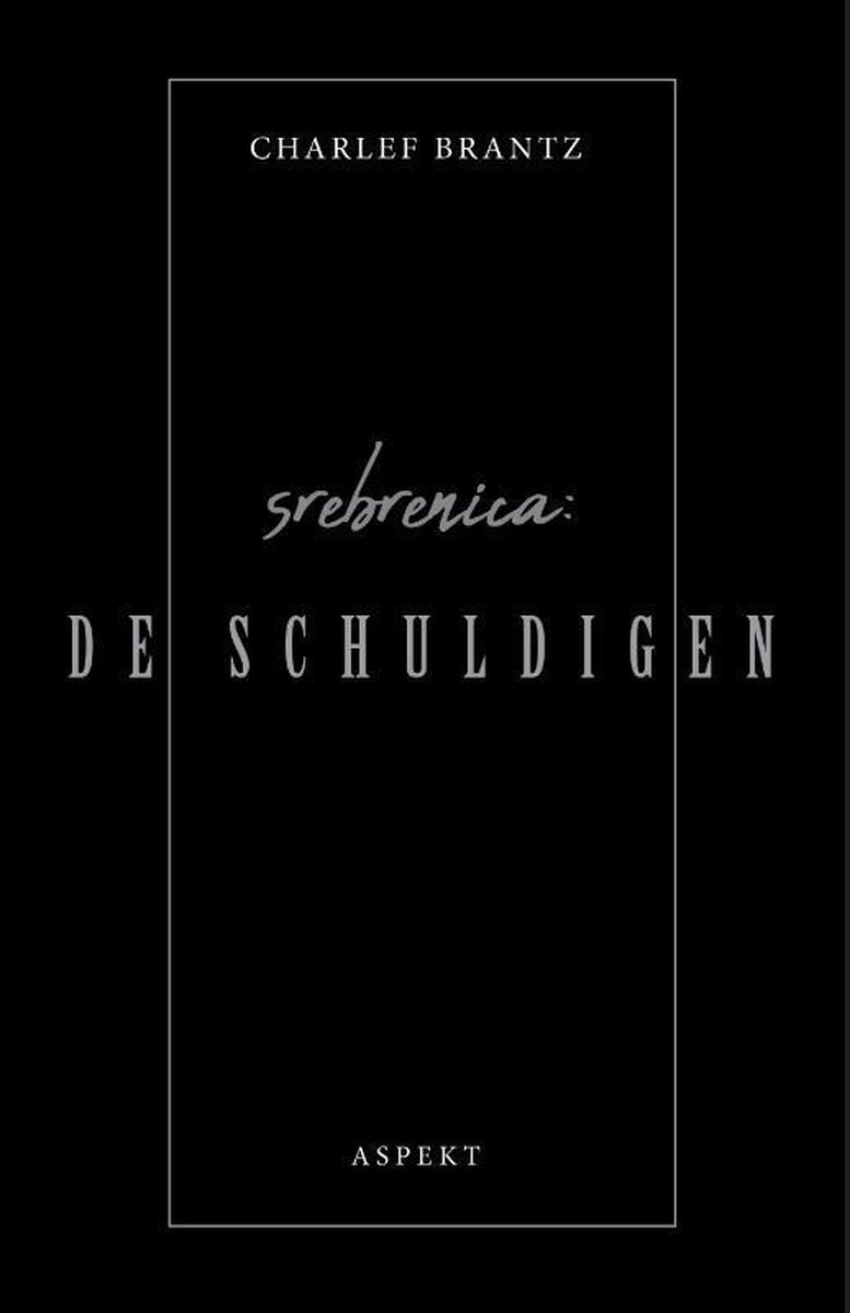 Srebrenica: de schuldigen (Paperback)