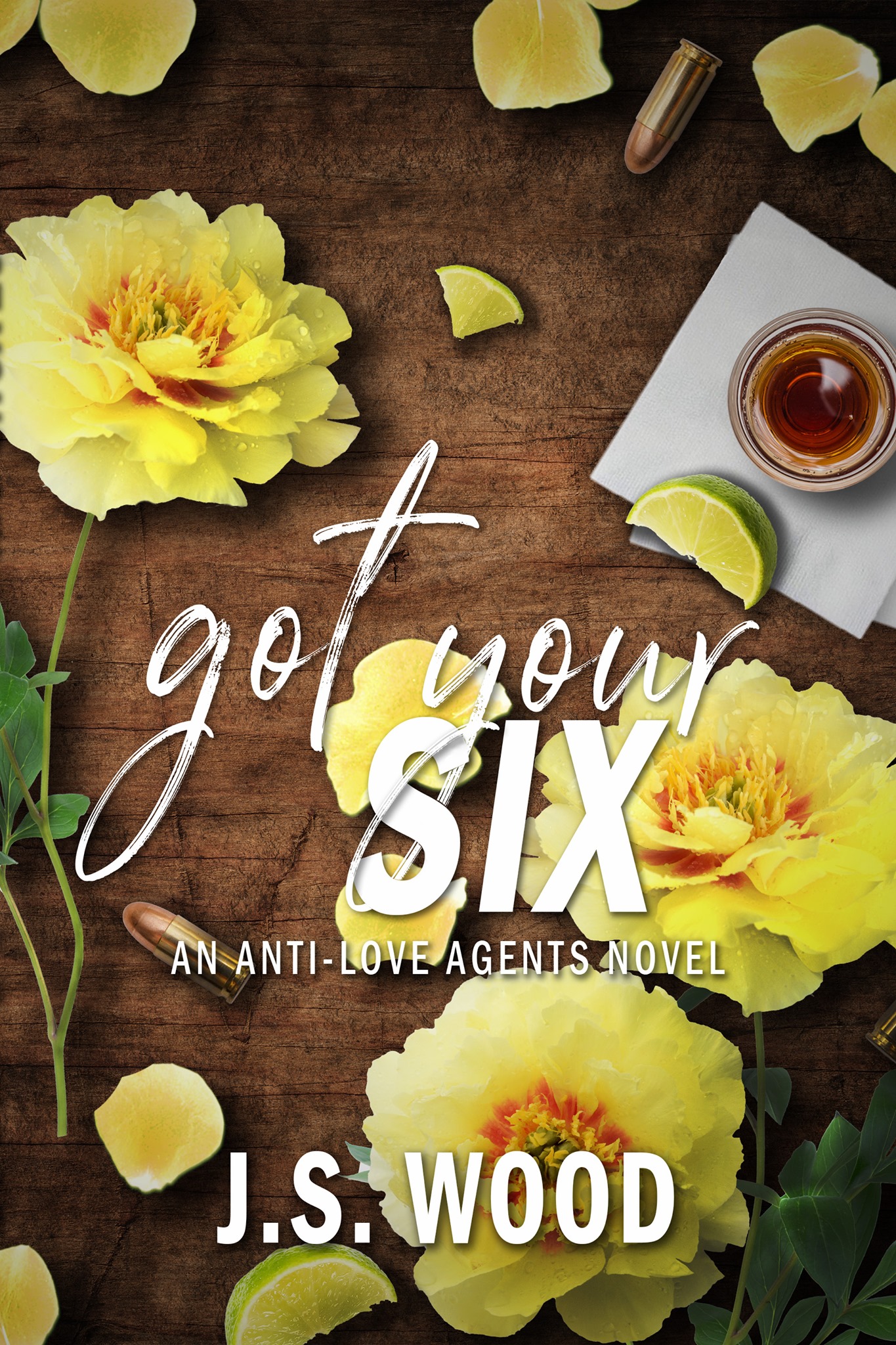 Got Your Six (The Anti-Love Agents, #2)