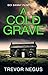 A Cold Grave (DCI Danny Flint #3)