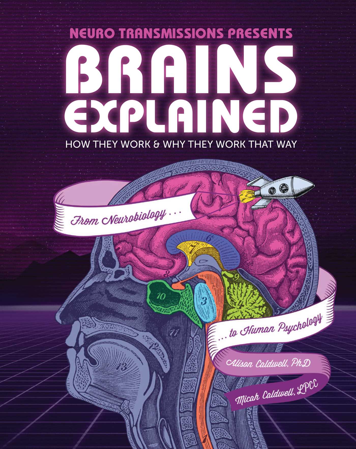 pdf download Brains Explained: How They Work  Why They Work That Way