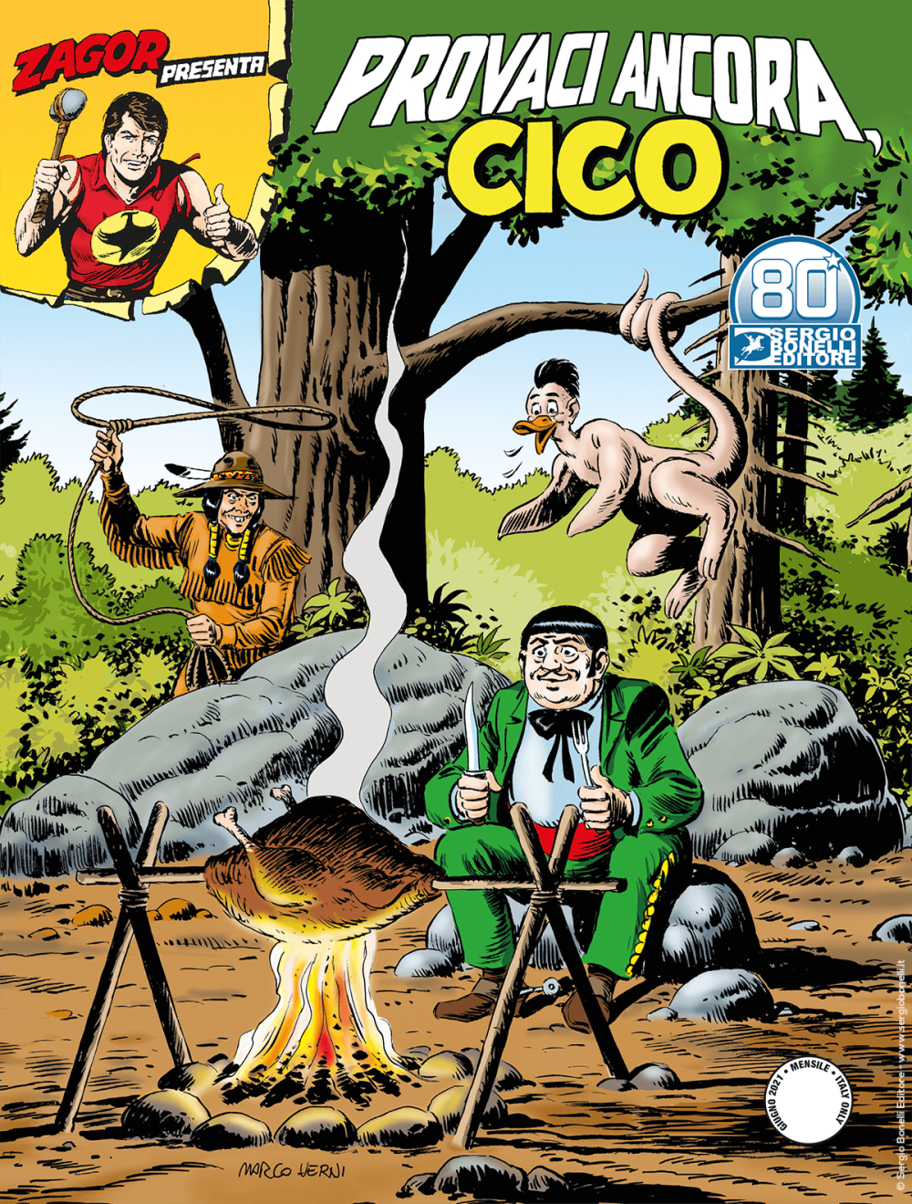 Speciale Cico n. 28: Provaci ancora, Cico