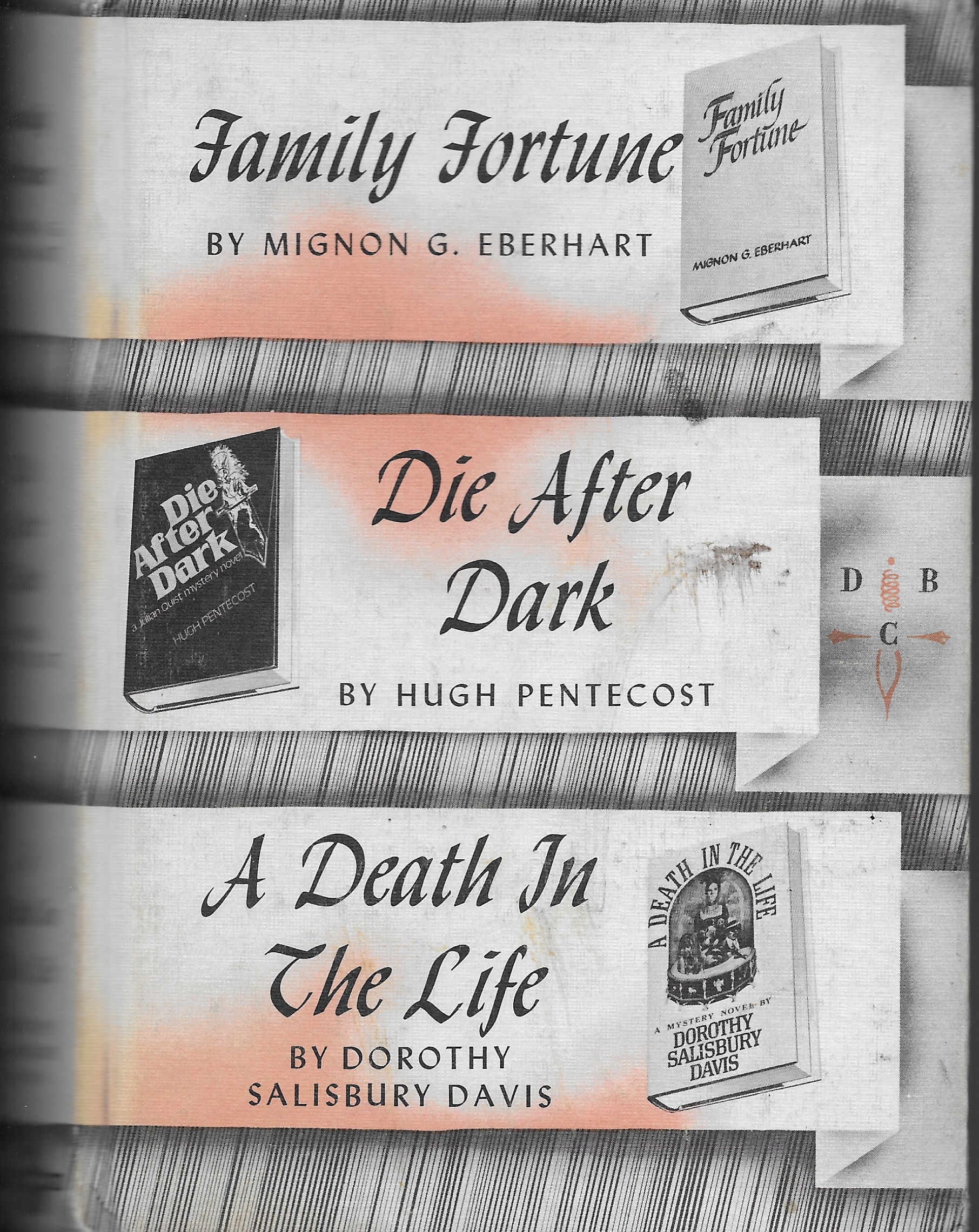 Family Fortune / Die After Dark / A Death in the Life (Hardcover)
