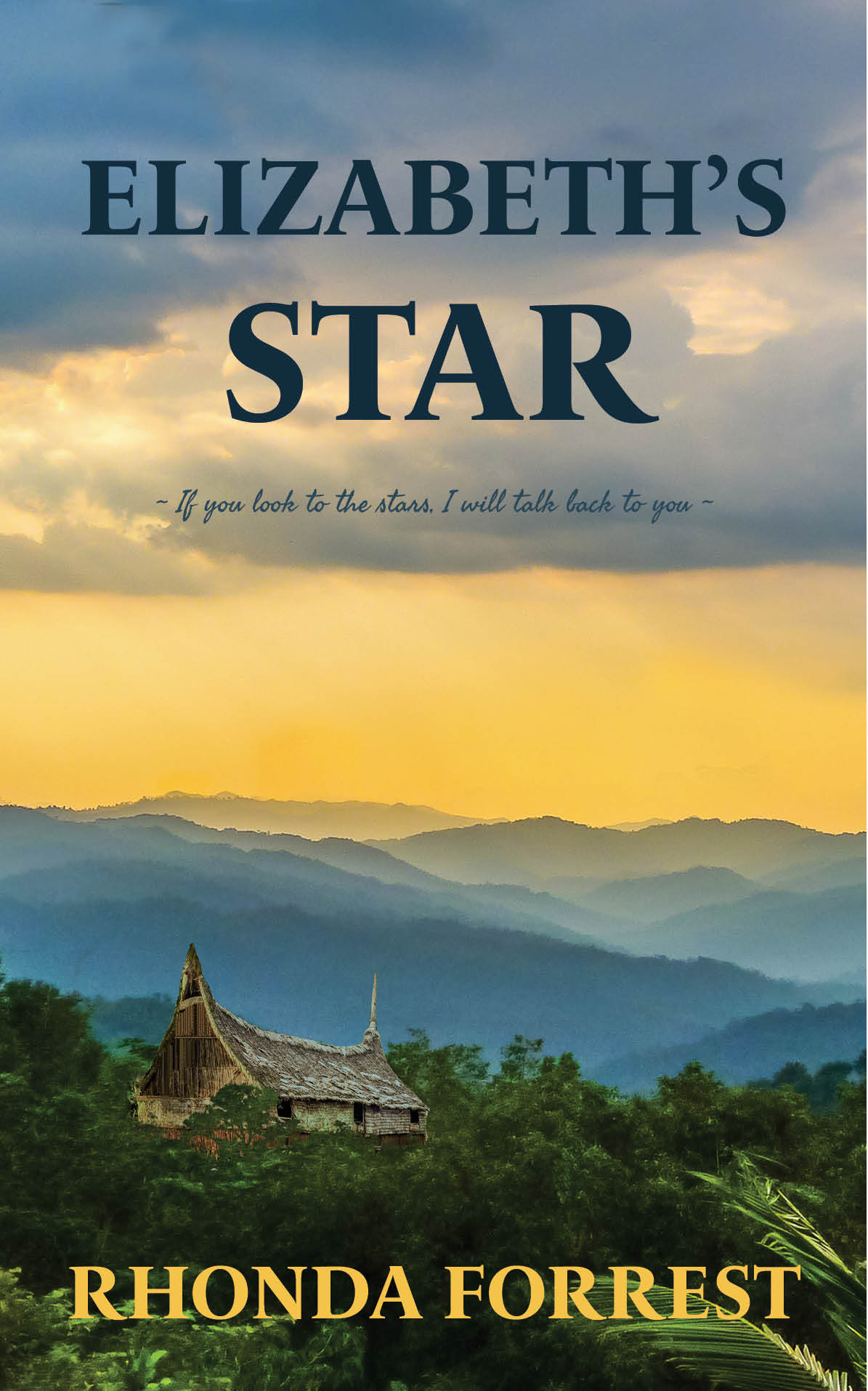 Elizabeth's Star (We'll Meet Again #1)