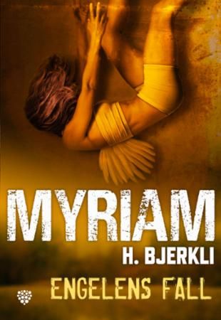 Engelens fall (ebook)