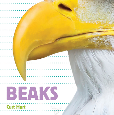 Beaks (Whose Is It?)