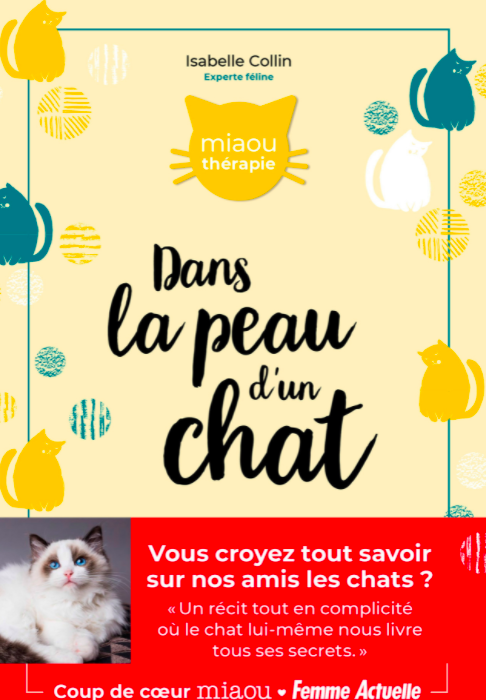Dans la peau d'un chat