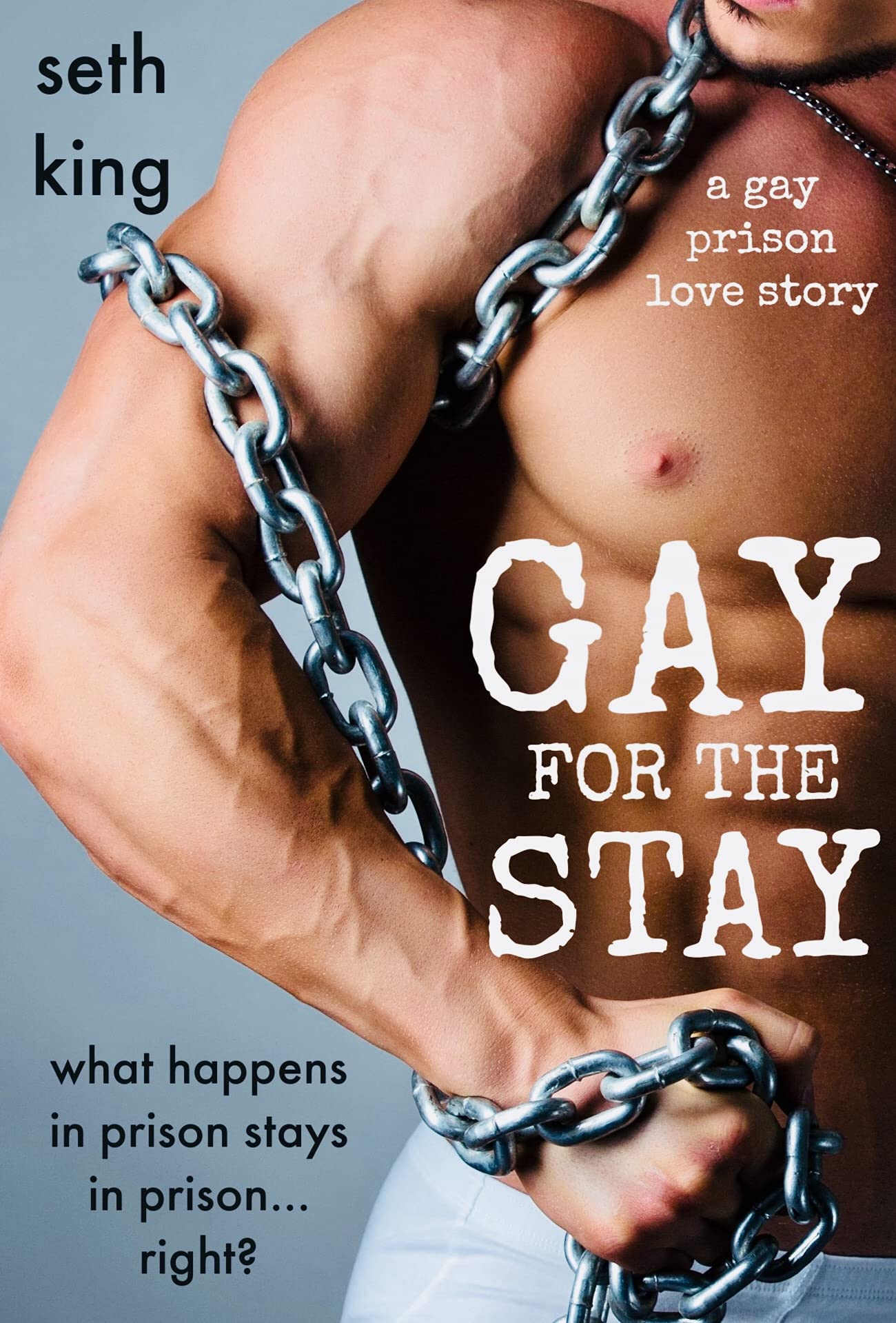 Gay for the Stay (Gay for the Stay #1)