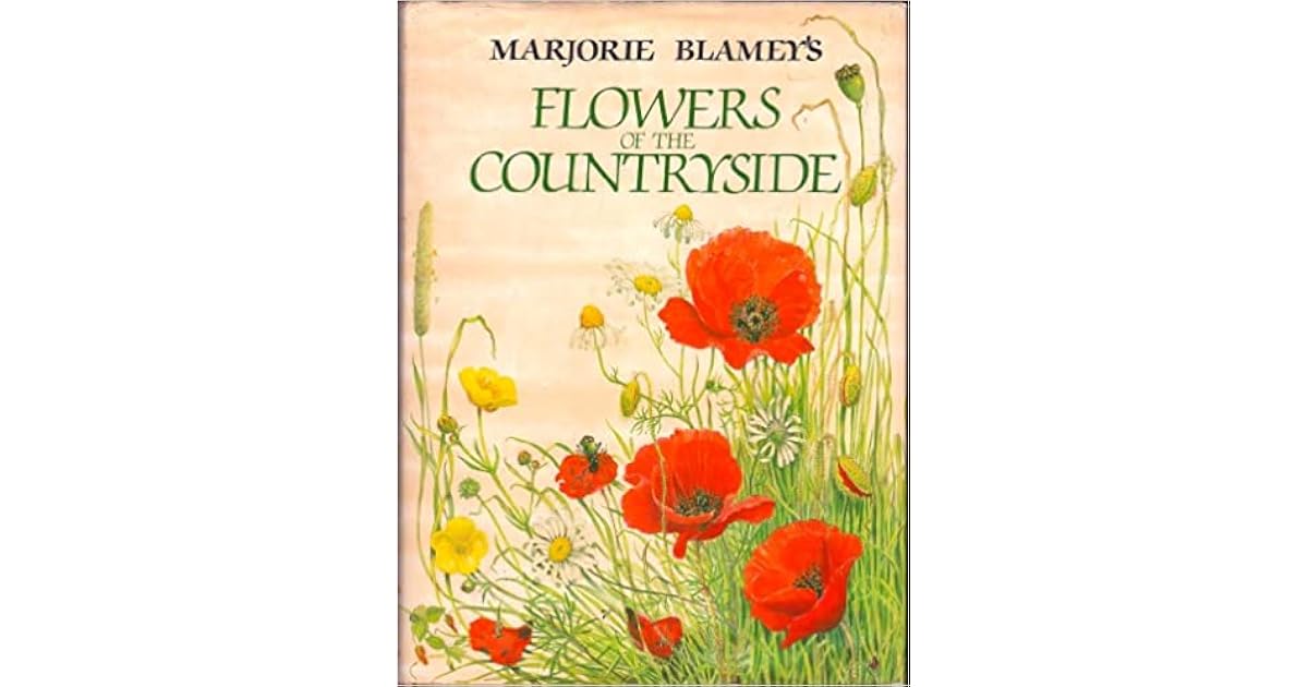 Marjorie Blamey's Flowers of the Countryside by Marjorie Blamey