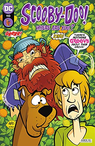 Scooby-Doo, Where Are You? (2010-) #110