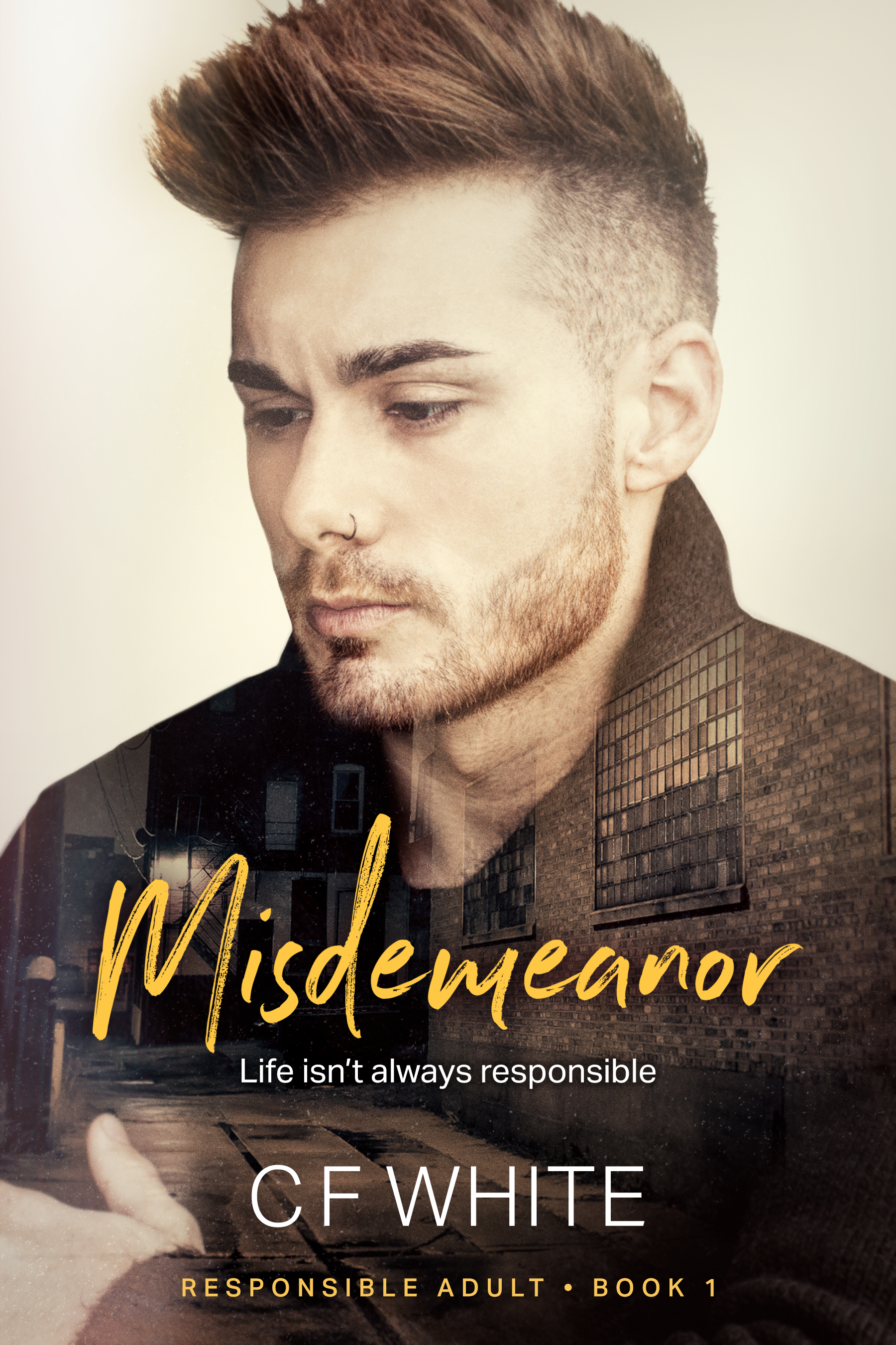 Misdemeanor (Responsible Adult, #1)