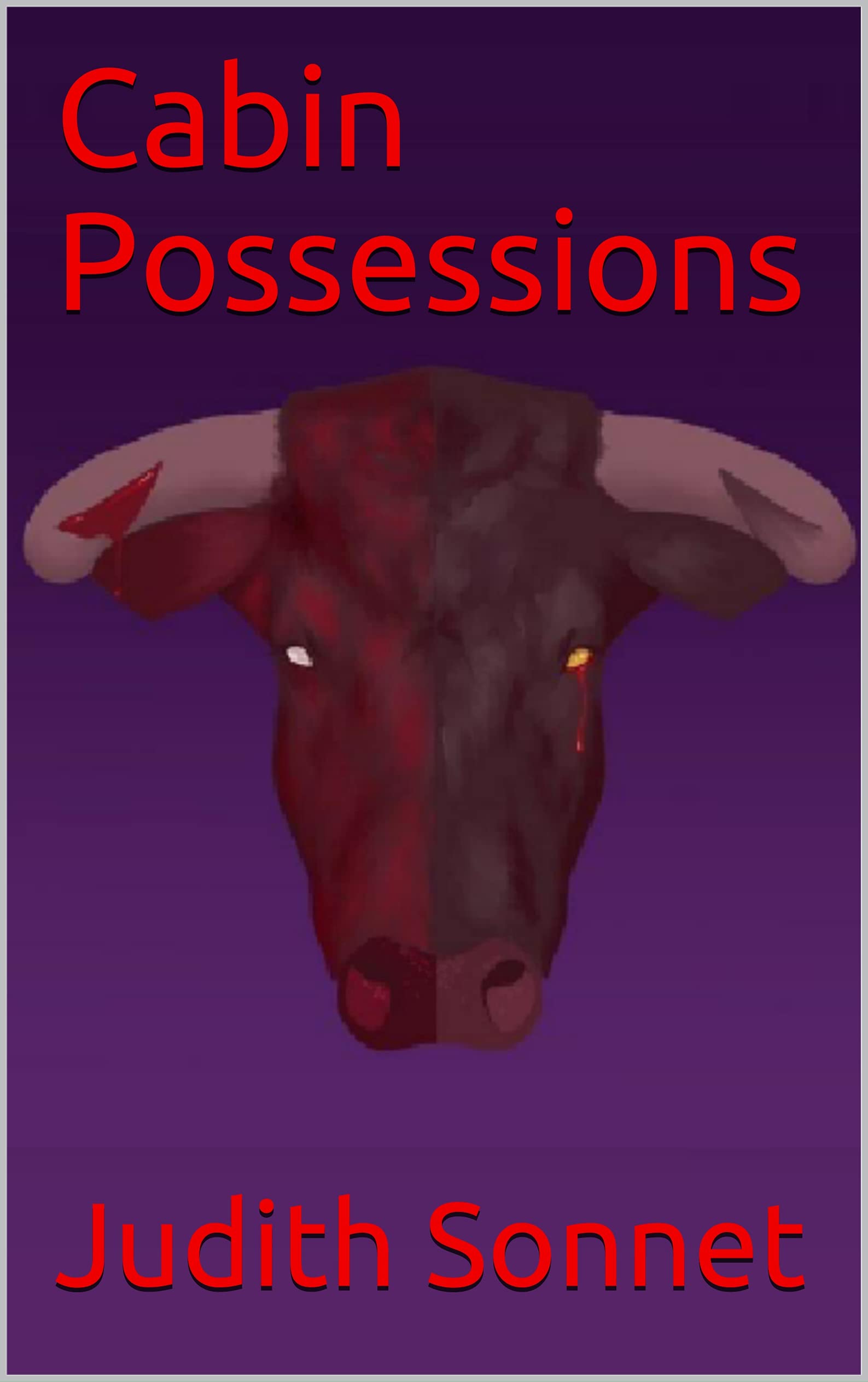 Cabin Possessions (Kindle Edition)