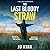The Last Bloody Straw by J.D. Kirk