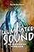 Illuminated Sound by DovBer Pinson