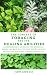 THE CONCEPT OF FORAGING AND...