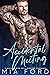 Accidental Meeting (Accidental Hook-Up Book 3)