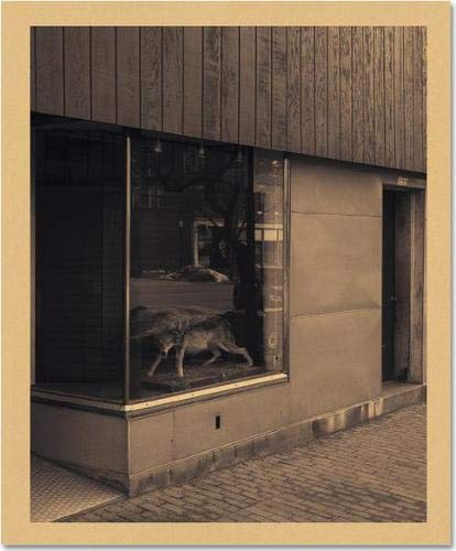 THE LOCAL (Hardcover)