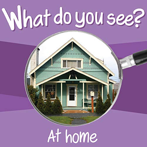 What Do You See: At Home (Board book)