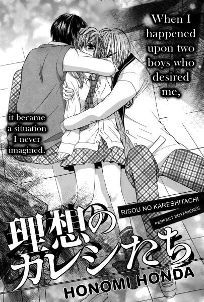 RISOU NO KARESHITACHI (Perfect Boyfriends)