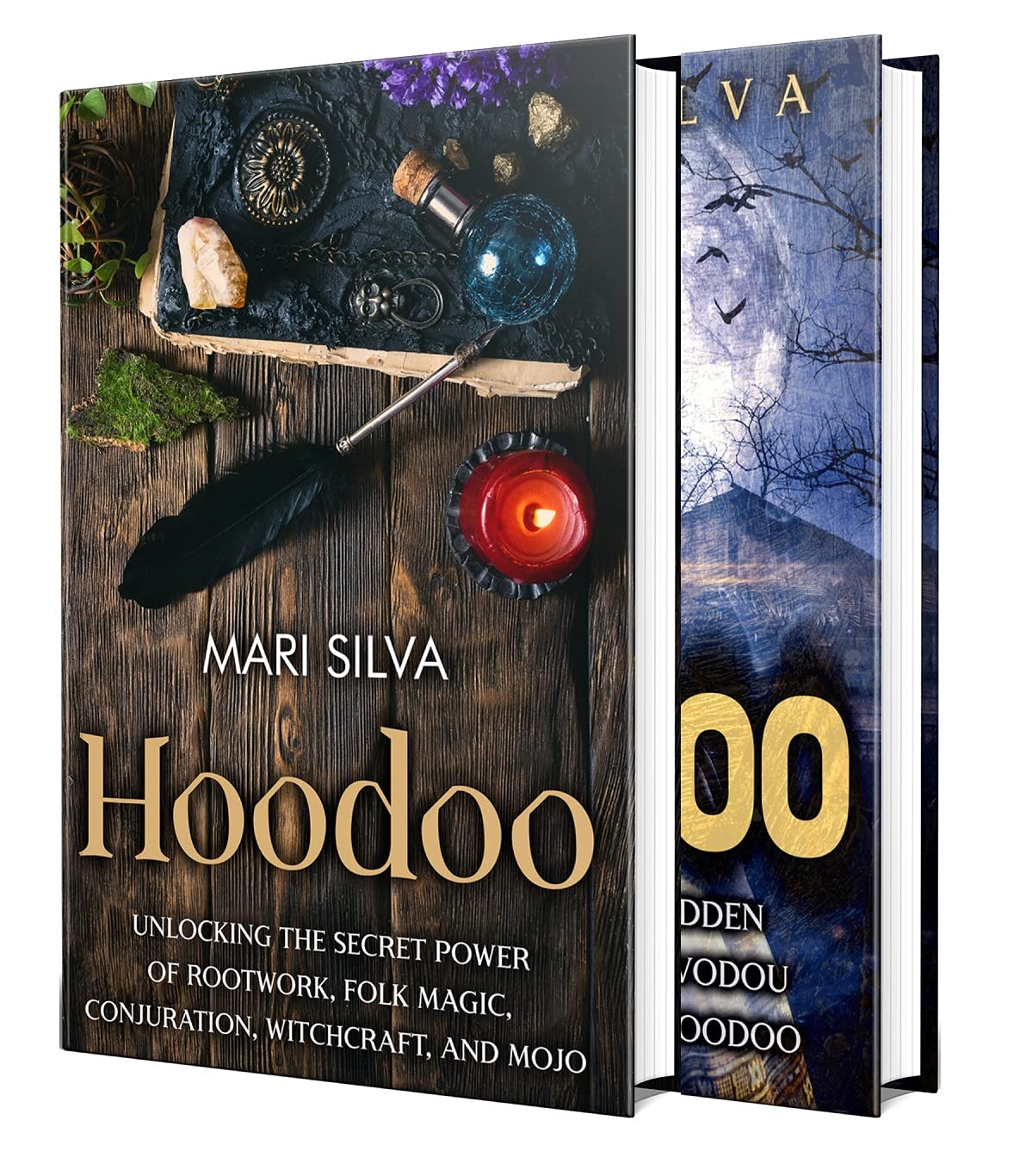 Hoodoo and Voodoo: Secrets of Folk Magic, Rootwork, Witchcraft, Mojo, Conjuration, Haitian Vodou and New Orleans Voodoo (Pagan Beliefs)