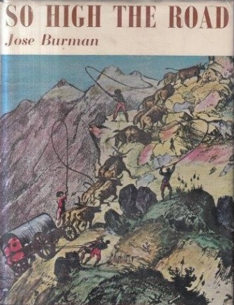 So high the road: Mountain passes of the Western Cape (Hardcover)