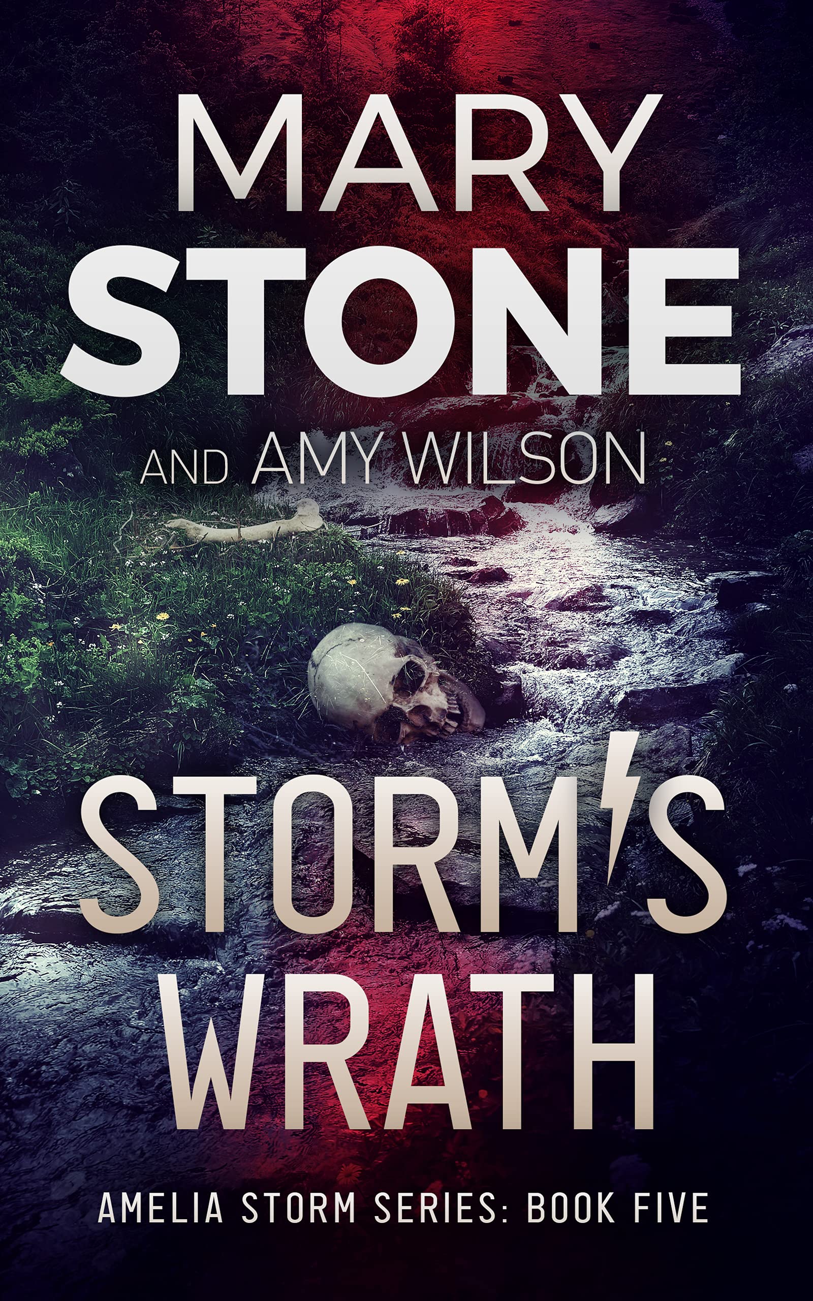 Storm's Wrath (Amelia Storm #5)