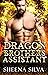Dragon Brother’s Assistant