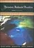 Patrimonio Ambiental Brasileiro (Uspiana--Brasil 500 Anos) (Portuguese Edition)