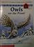 Owls on the Prowl
