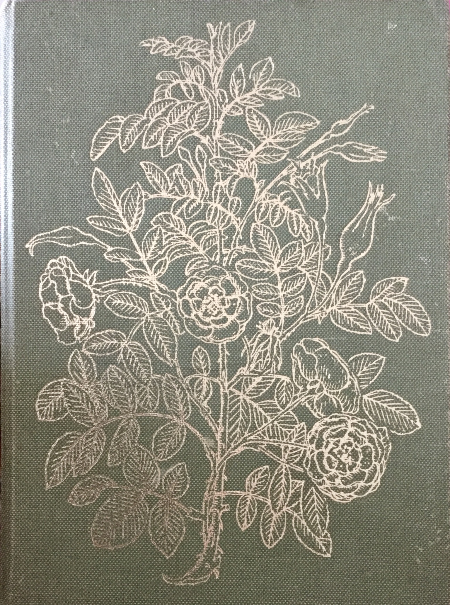 Il grande libro dei fiori e delle piante: Enciclopedia pratica
