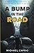 A Bump in the Road: My Medical Journey over Potholes, Detours and the Bridge to Gratitude