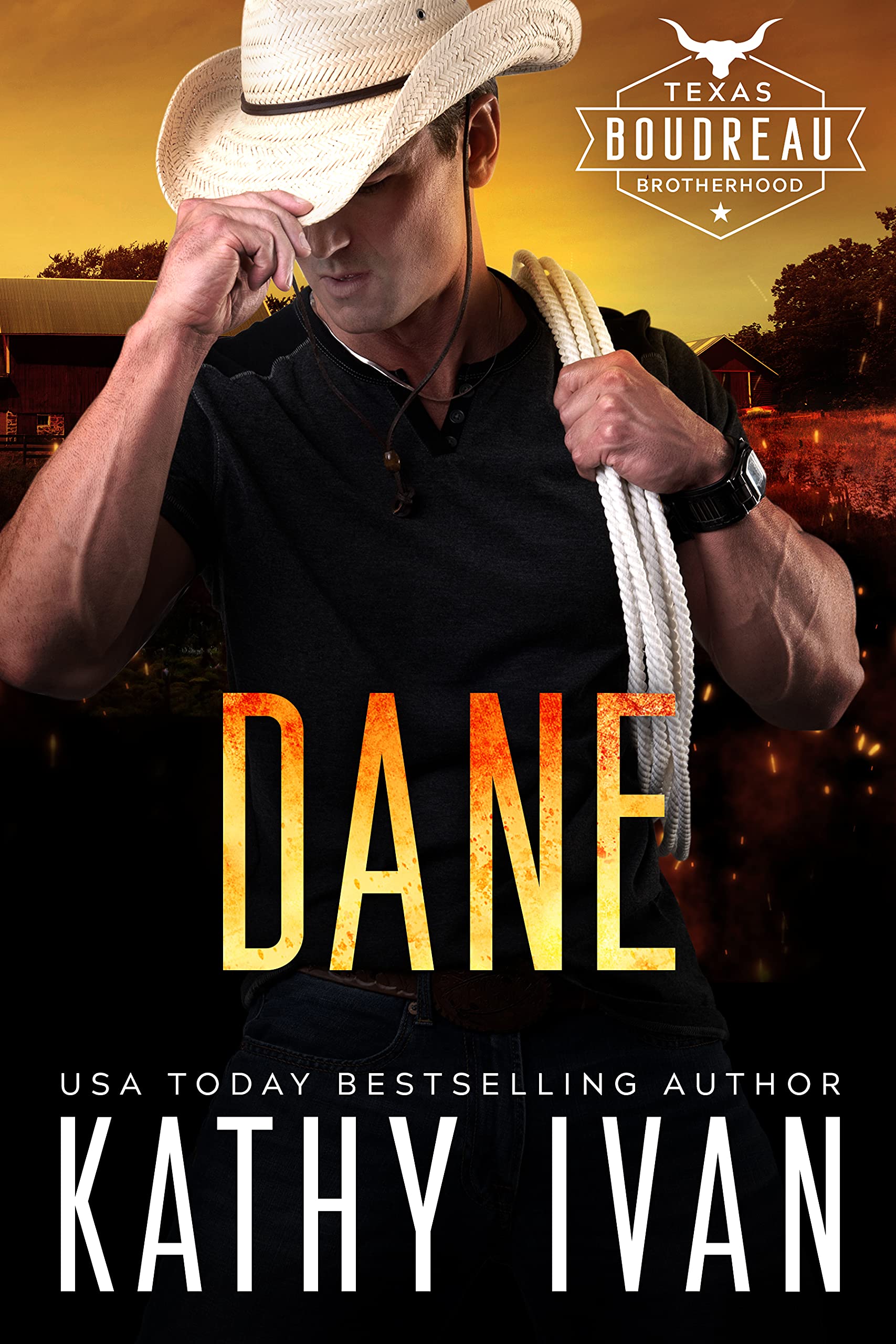 Dane (Texas Boudreau Brotherhood, #10)