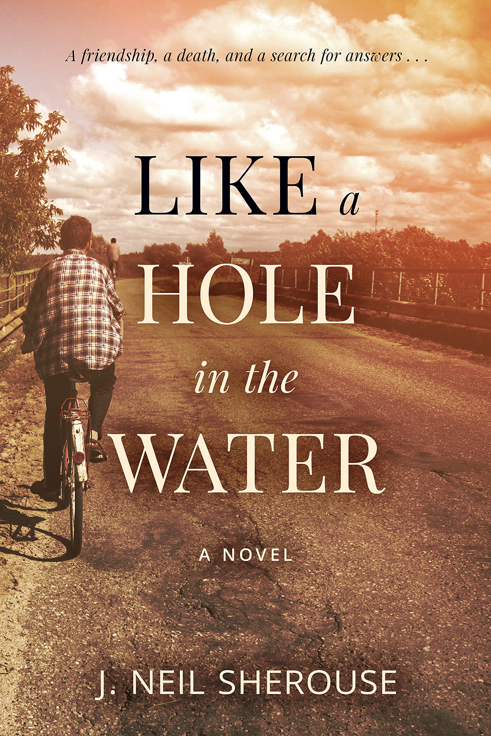 Like a Hole in the Water: A Coming of Age Novel (Kindle Edition)