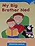 My Big Brother Ned by Jeff Allen