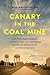 Canary in the Coal Mine: A ...