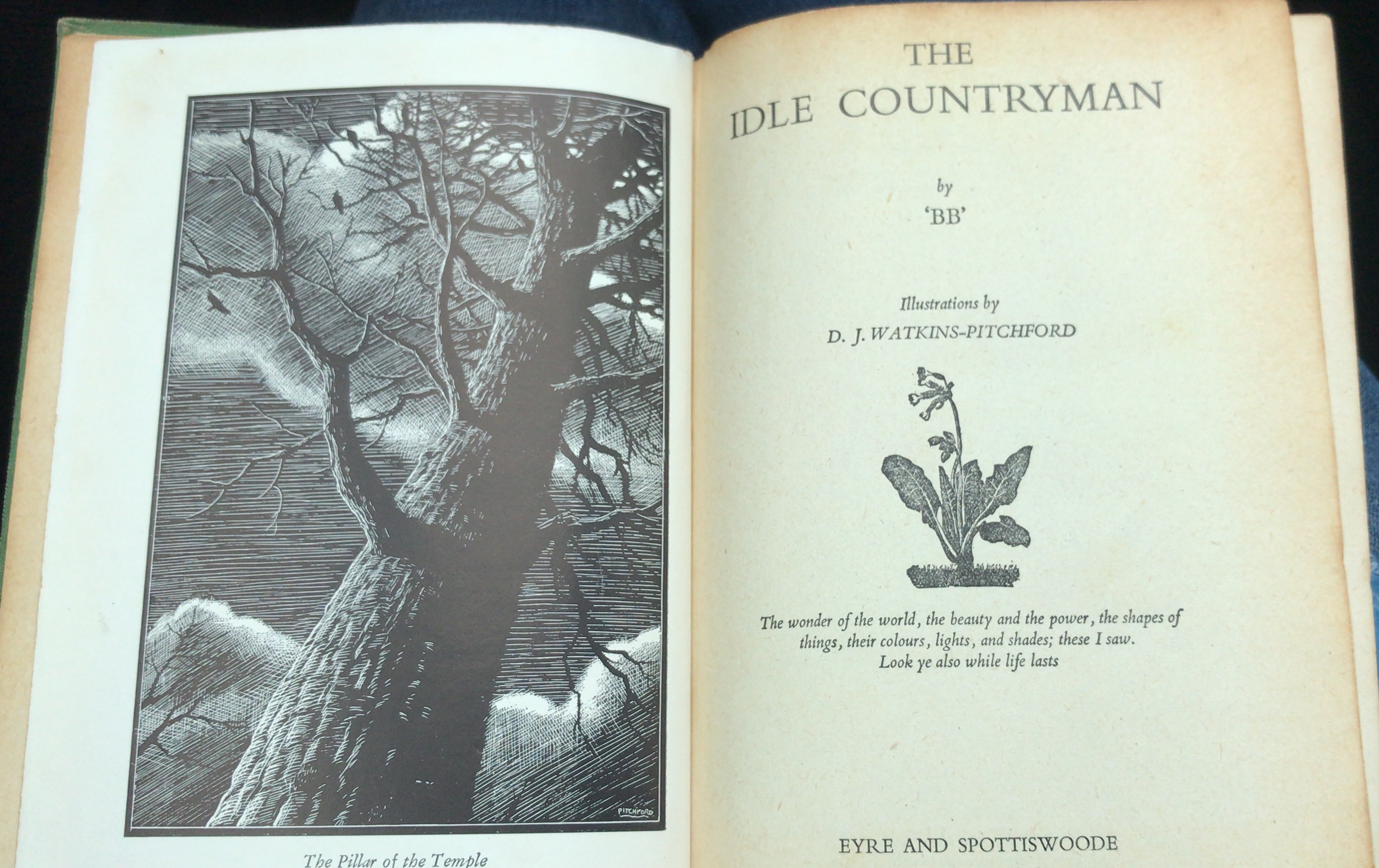 The Idle Countryman (Hardcover)