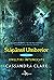 Stăpânul umbrelor by Cassandra Clare