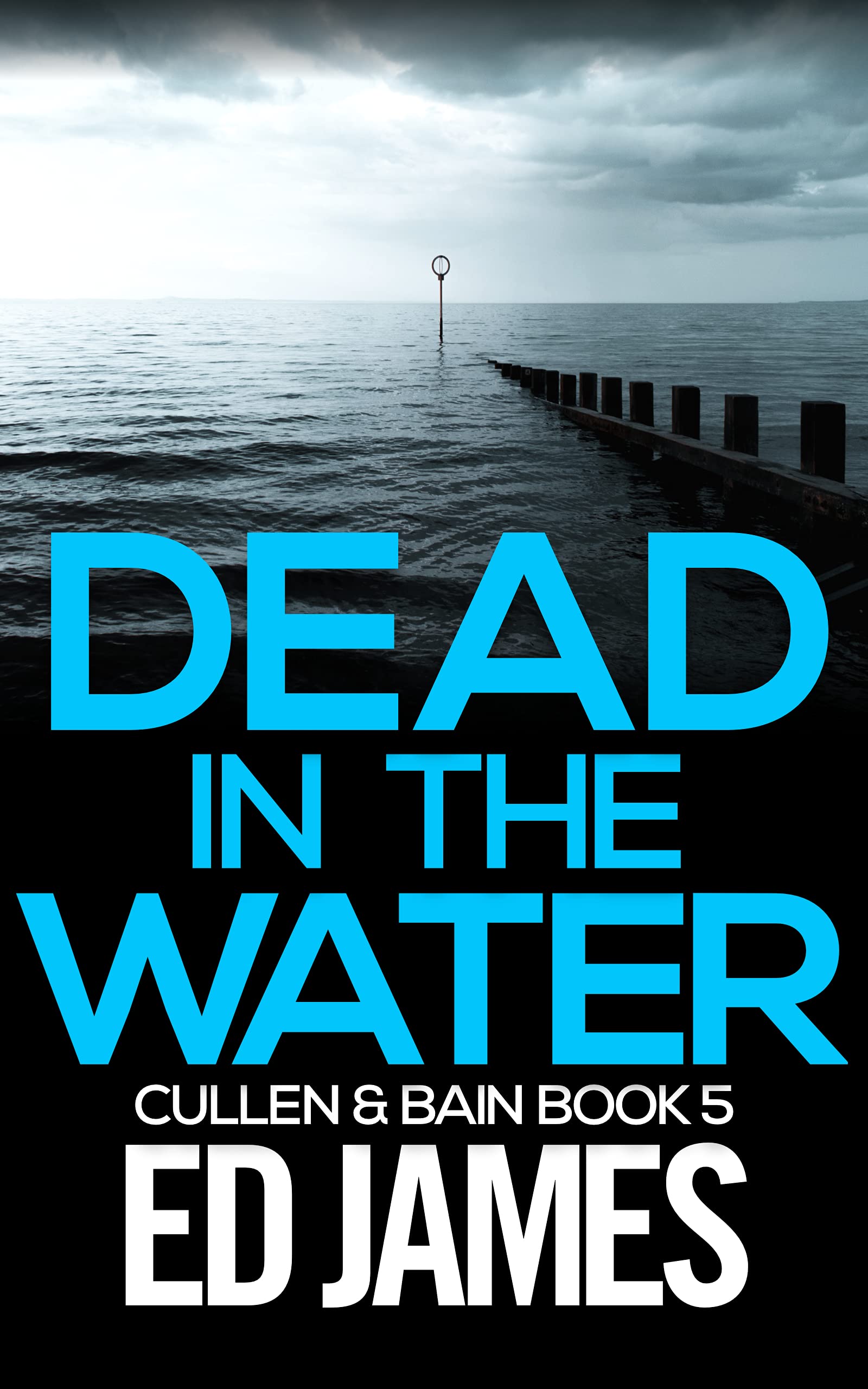 Dead in the Water (Cullen & Bain #5)